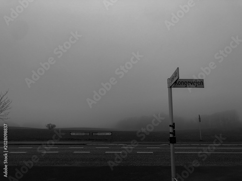 Schilderij op canvas road in the fog
road sign in loneliness
empty foggy road
dark shadow 
depressive
