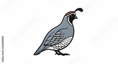 A cartoon illustration of a quail with a distinctive head plume and patterned feathers