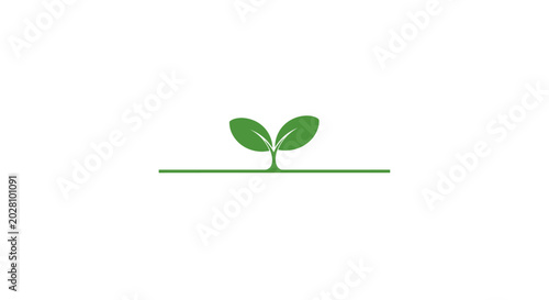 Photos Green plant sprout with leaves growing.
