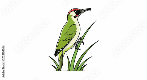 A cartoon green woodpecker with red markings on its head perches on a green stalk
