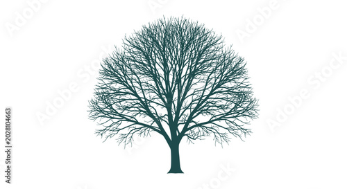 Konstfotografi Leafless Tree in Winter Season.