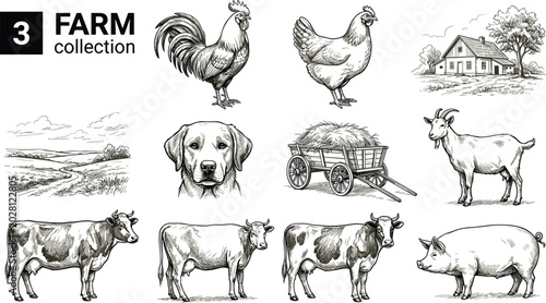 Vintage Farm Animal Collection Vector Illustration with Cow Pig Goat Rooster and Rural Countryside Engraving Artwork Set