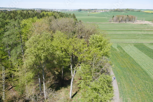 Blick vom Aussichtsturm Bannwaldturm im Bannwald am Pfunger Ried