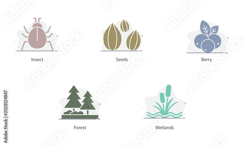 Foraged foods graphic with natural forest ecosystems and wetland habitats