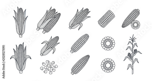 Bild auf Leinwand Corn Cob and Maize Plant Icon Set