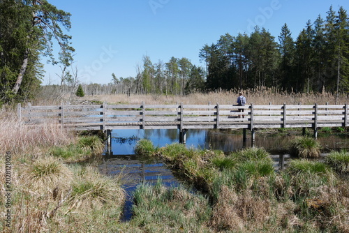 Brücke mit Person am Bohlenweg im Moor im Pfrunger-Burgweiler Ried bei Ostrach und Burgweiler im Bannwald