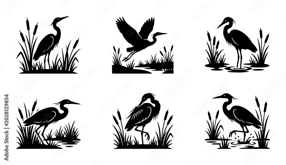 Fototapeta premium Heron Silhouettes in Wetland Reeds