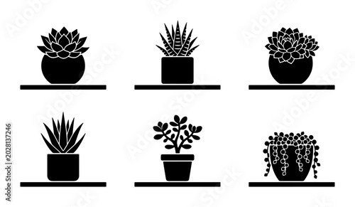 Potted Succulents Collection Silhouette