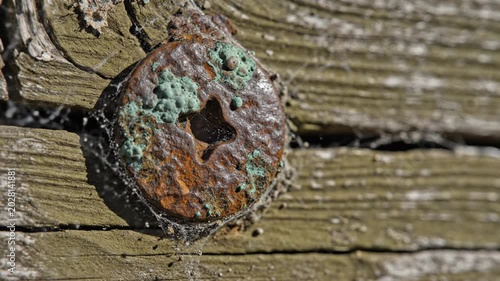 Close-Up Composition of Rusted Metal Screw Head Detailed on Weathered Wood Surface