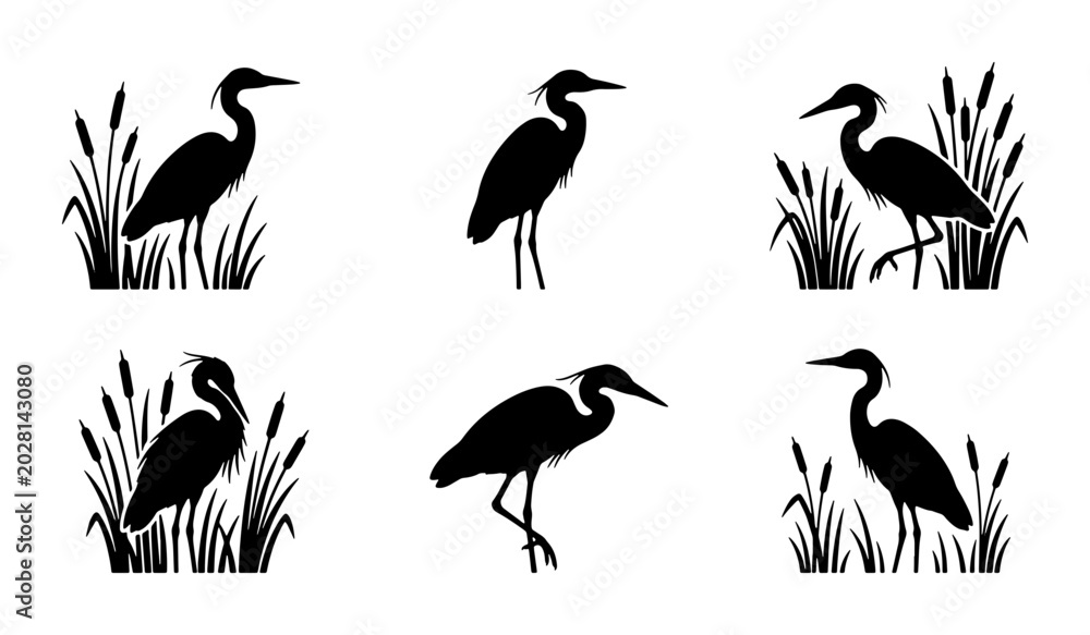 Fototapeta premium Heron Silhouettes with Reeds