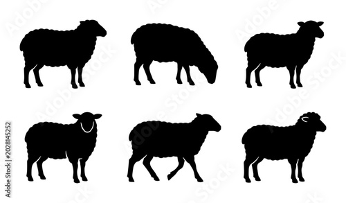 Fényképezés Sheep Silhouettes Collection: Farm Animals, Livestock Icons, Rural Life Vector G