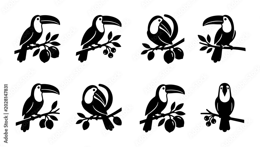 Fototapeta premium Toucan Bird Silhouettes on Branch Collection