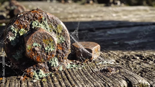 Close-Up Railroad Spike With Rust, Moss And Cobweb, Detailed 4K Footage