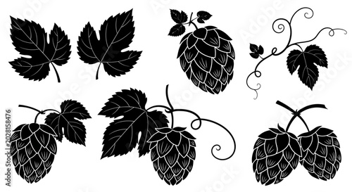 Fotografie Black hop cones, leaves, and vines, vector icons, brewery symbols, beer ingredie
