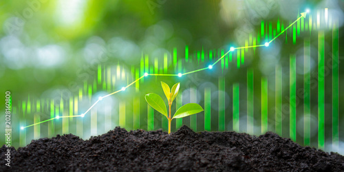 Cuadro en lienzo The seedlings are sprouting in fertile soil, accompanied by an upward trend in the financial candlestick chart—a symbol of sustainable growth and prosperity for the organization
