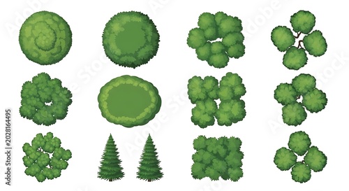 Set of various green trees seen from above for architectural landscape design plans
