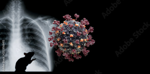 Dark digital composite of hantavirus rodent transmission concept - rat silhouette on human chest x-ray with 3D virus particle, zoonotic pulmonary disease outbreak illustration