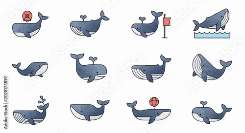 A charming collection of twelve stylized whale illustrations in various poses and scenarios