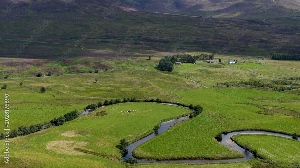 Fototapeta premium Aerial View of a Winding River Through Lush Highland Meadows