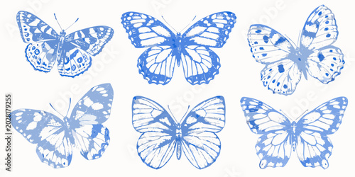 Bild auf Leinwand A collection of blue butterflies vintage style illustration on a white backgroun