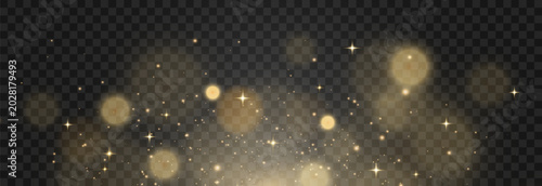 Vector bokeh lights effect. Soft blured bokeh and lights isolated on png background. Festive golden luminous background. Vector Christmas concept.
