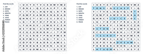 Word Search Puzzle Letter Grid Find Hidden Words Vocabulary Worksheet Black White Vector