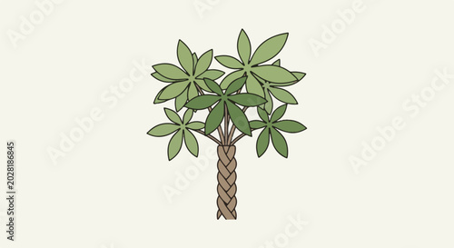 A stylized illustration of a plant with a braided trunk and green, palmate leaves