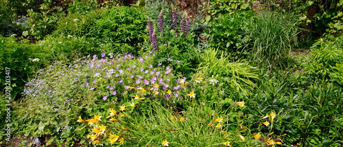 Traditional old walled english cottage garden worcestershire England UK