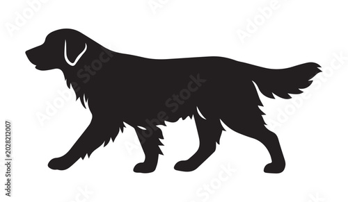 Golden Retriever dog silhouette vector on white background for pet design