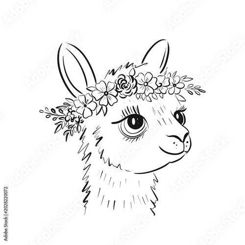 Llama with flower crown stands out with detailed features and bright expression in this simple line art illustration