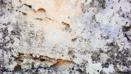 Εκτύπωση καμβά Weathered Stone Wall Texture Background