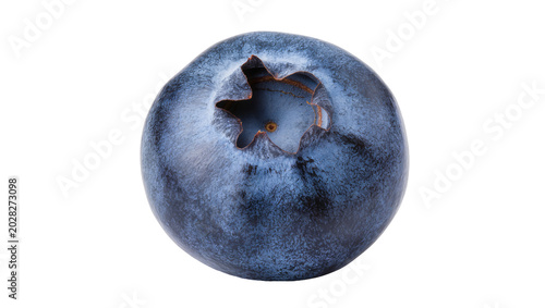 Foto Single ripe blueberry with star-shaped calyx