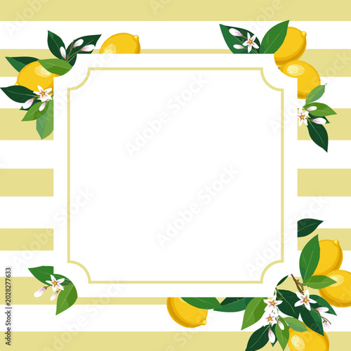 Photos Lemons in frame decor on striped background
