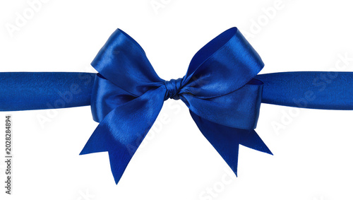 Canvas Print Satin blue ribbon bow with streamers