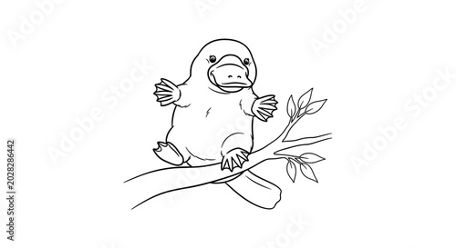 Cute Platypus Coloring Page Vector Illustration