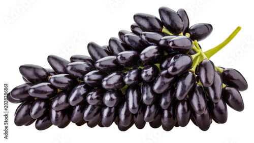 Schilderij op canvas Black Seedless Grapes Cluster