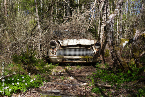 Canvas Print old car in the woods