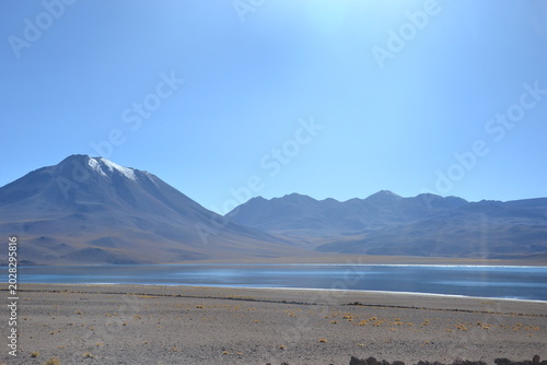 Photos Lagunas Altiplânicas - Deserto do Atacama (Chile)