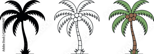 Photography Palm tree color artwork with coconuts for postcard and print