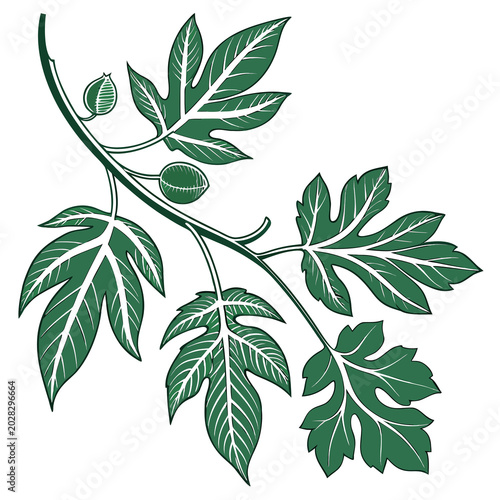 green leaves on white background