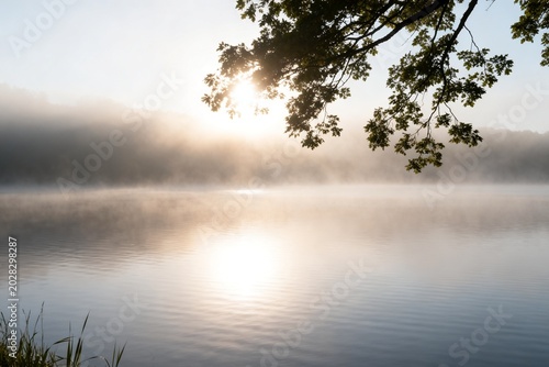 Morning mist over calm lake with tree branch
