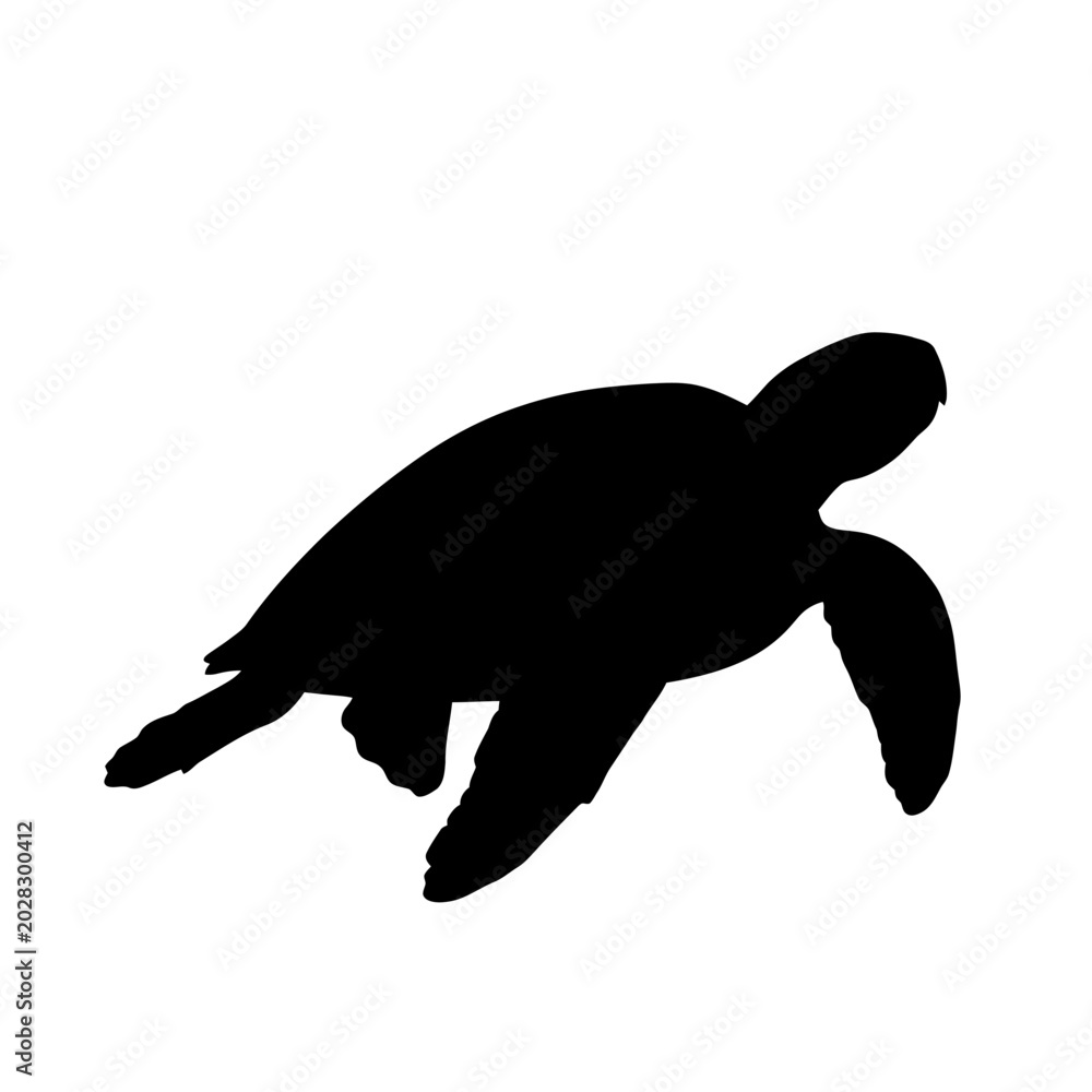 Fototapeta premium Silhouette of a serene turtle gliding gracefully through water with minimalistic style
