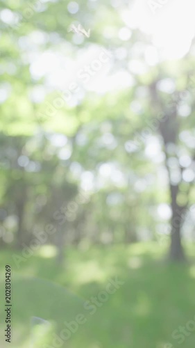 木漏れ日が差し込む新緑の雑木林を美しくぼかした抽象的な背景映像。左へ歩く