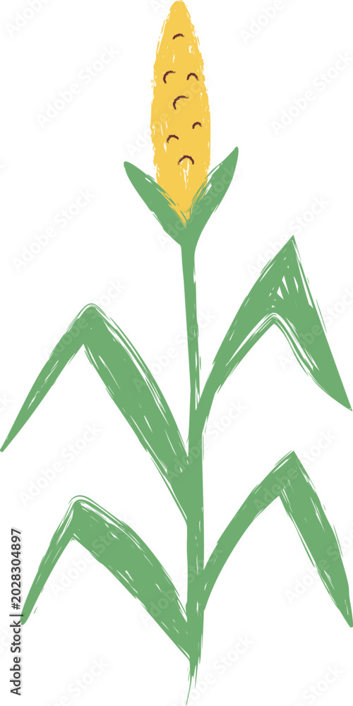 Fototapeta premium Corn Stalk Sketch Crayon Style