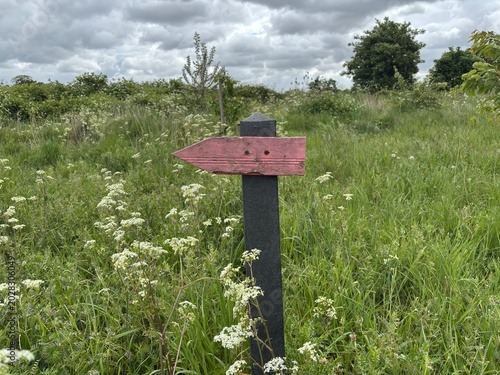 A weathered pink directional signpost stands firmly amidst tall grasses and wildflowers, hinting at an outdoor adventure or a secluded path.