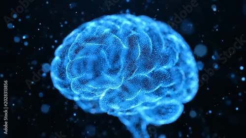 3d rendered illustration of a brain