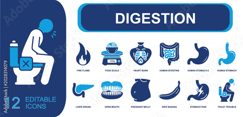 Bild auf Leinwand Digestion icon set