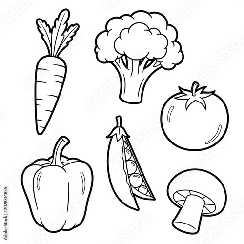 Vegetables Line Drawing Illustration.