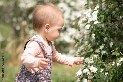 Canvastavla A little girl in a colorful jumpsuit stands near a flowering bush in the park and touches the leaves on the flowers with her little fingers on a sunny warm day during a walk