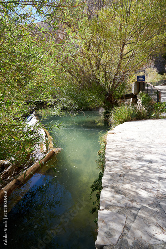 river in the forest